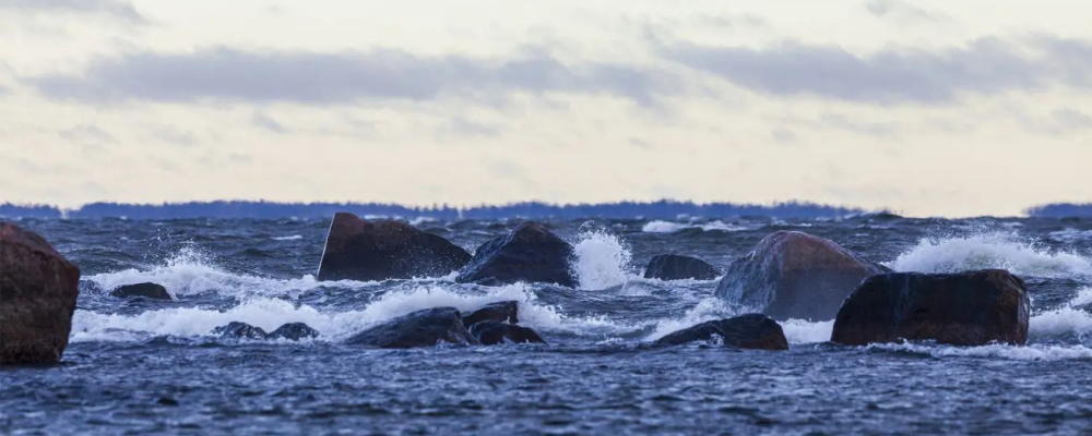 Greencarrier inleder ett treårigt samarbete med John Nurminen Stiftelsen för att bidra till skyddet av Östersjöns marina miljö och kulturarv. Foto: Lasse Hendriks