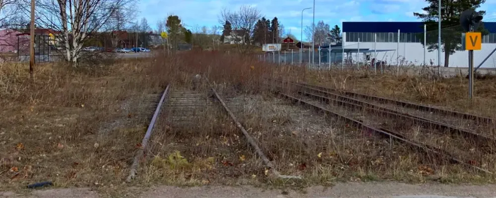 Vegetationsröjningen längs järnvägen mellan Bollnäs och Edsbyn är det första steget i utredningen av möjligheten att återuppta trafik på sträckan. Foto: Trafikverket