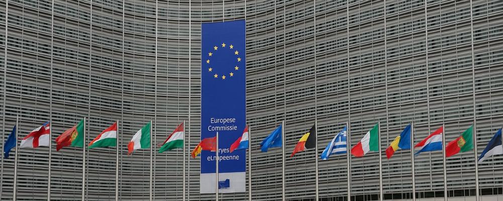 Tolv medlemsländer – däribland Polen, som för närvarande innehar ordförandeskapet i Europeiska rådets energiministerforum – har begärt att reglerna för RFNBO ändras i grunden.  Bild: Skapad av Open AI/ Chatgpt.