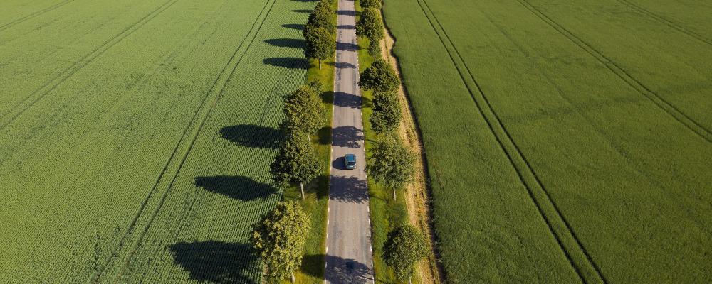 Skåne tillhör de regioner som ligger i topp när det gäller användning av elfordon i offentliga fordonsflottor. Foto: Triztic Photography/Unsplash