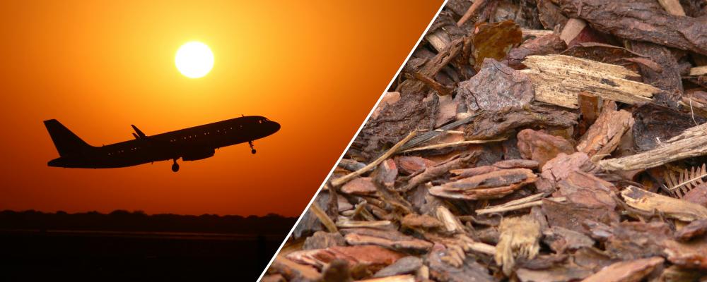 Forskarna jämförde tre metoder för att producera syntetisk metanol från biomassa: två förbränningsbaserade och en som bygger på förgasning. Fotograf: CC BY Gustavo Ramirez/CC0