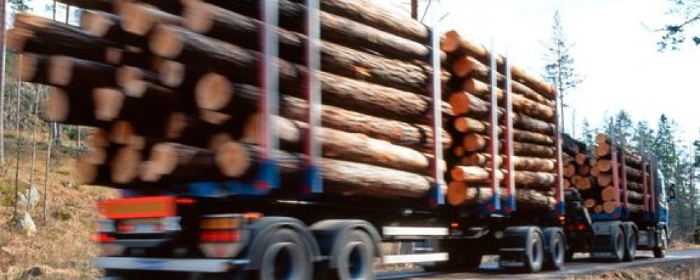 När tjällossningen kommer mjuknar marken och mindre vägar, ofta grusvägar, blir känsliga för tunga fordon. Det leder till bärighetsbegränsningar och kostsamma reparationer. Fotograf: Thomas Adolfsén