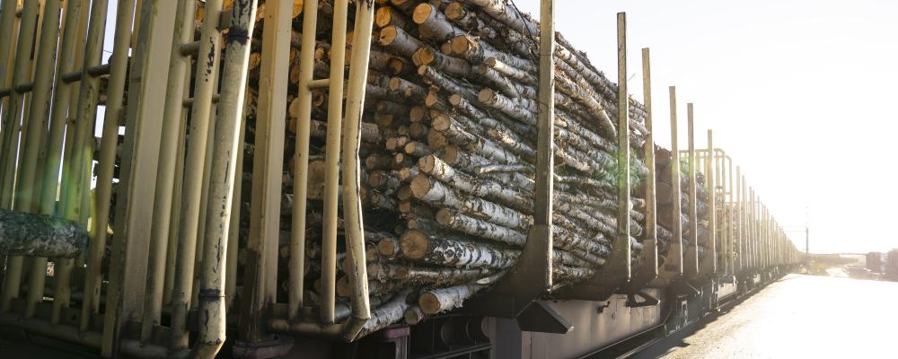 Banavgifterna för tunga godståg har ökat successivt och är nu bland de högsta i Europa, enligt EU-kommissionens senaste rapport. Foto: Norra Skog