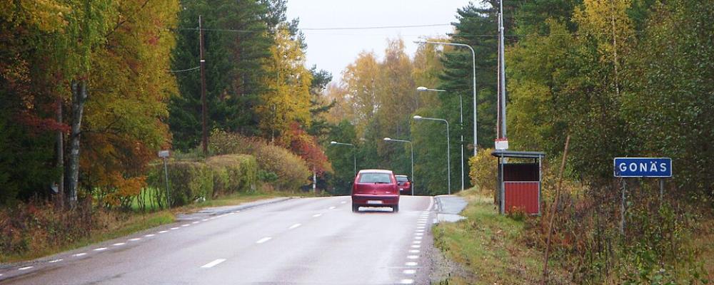 Ortsinfart till Gonäs i Ludvika, där två fastigheter nu tas i anspråk för logistikprojektet. Foto: Holger.Ellgaard/Wikimedia Commons / https://commons.wikimedia.org/wiki/File:Gon%C3%A4s_2013.jpg