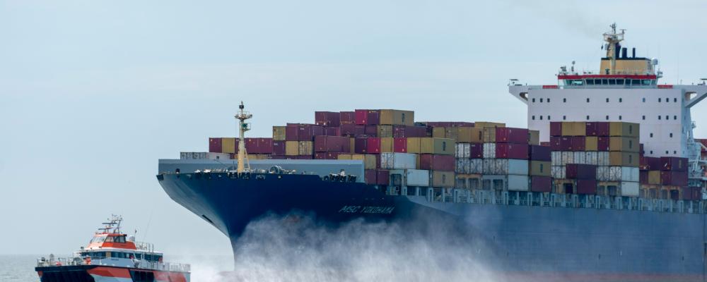 Containerfartyget MSC Yokohama passerar utanför stranden vid Vlissingen i Nederländerna Pim de Boer/Unsplash