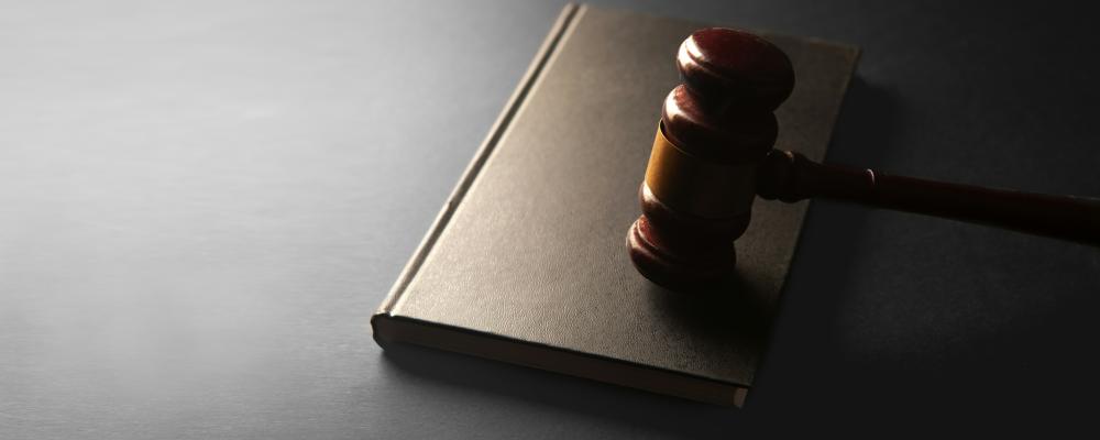 Konkurrensverket bedömer att värdet på upphandlingen av interimsavtalet uppgår till 248 miljoner kronor. Foto: Sasun Bughdaryan/Unsplash