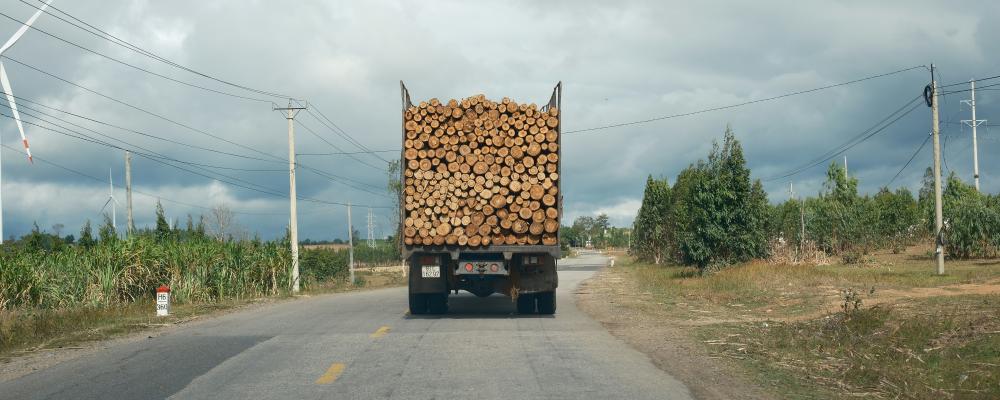 Lastbil transporterar timmer på landsväg. Foto: duc van / unsplash