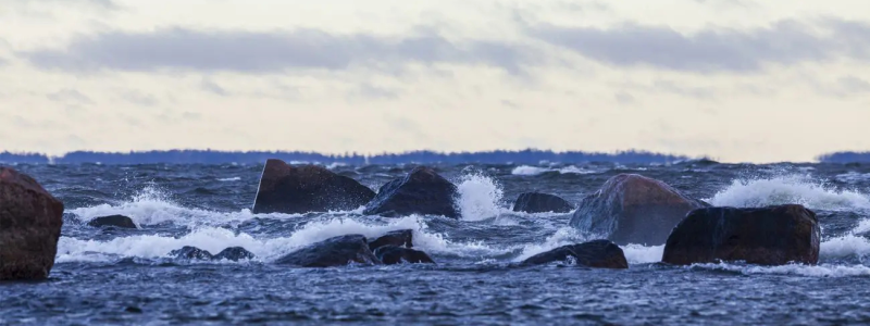 Greencarrier inleder ett treårigt samarbete med John Nurminen Stiftelsen för att bidra till skyddet av Östersjöns marina miljö och kulturarv. Foto: Lasse Hendriks