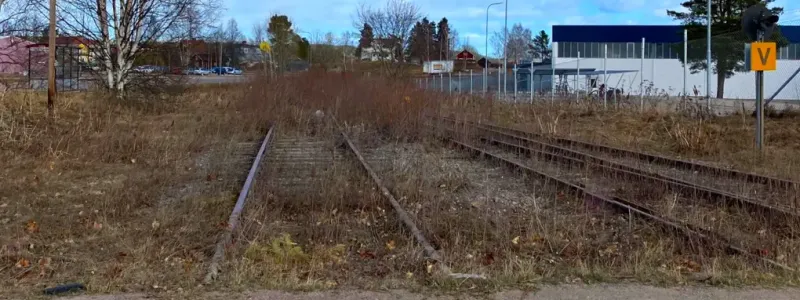 Vegetationsröjningen längs järnvägen mellan Bollnäs och Edsbyn är det första steget i utredningen av möjligheten att återuppta trafik på sträckan. Foto: Trafikverket