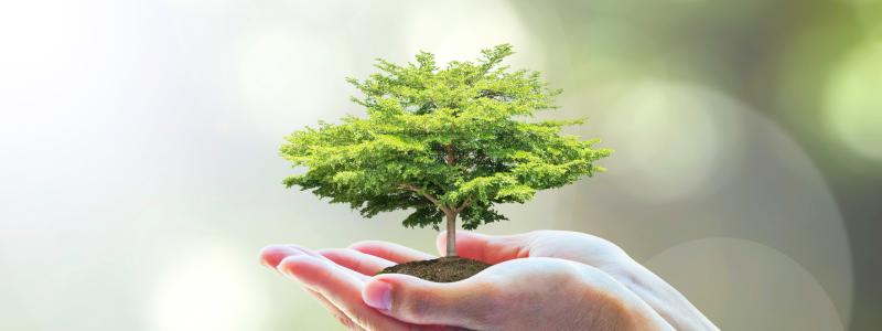 Foto: Shutterstock