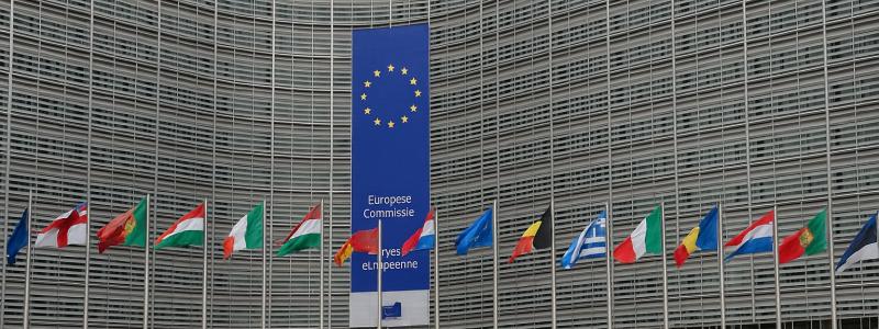 Tolv medlemsländer – däribland Polen, som för närvarande innehar ordförandeskapet i Europeiska rådets energiministerforum – har begärt att reglerna för RFNBO ändras i grunden.  Bild: Skapad av Open AI/ Chatgpt.