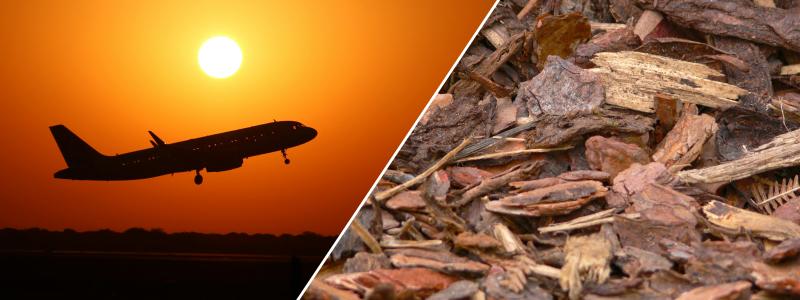 Forskarna jämförde tre metoder för att producera syntetisk metanol från biomassa: två förbränningsbaserade och en som bygger på förgasning. Fotograf: CC BY Gustavo Ramirez/CC0