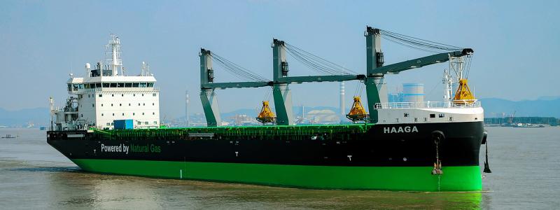 Bulkfartyget Haaga. Lånen är kopplade till finansieringen av ESL Shippings två bulkfartyg, Viiki och Haaga.  Foto:ESL Shipping