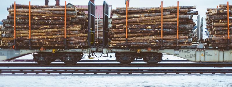 Tågen kommer att trafikera nio terminaler och transportera rundvirke till ett tiotal industrikunder runt om i landet. Foto: robert larsson/unsplash