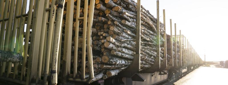 Banavgifterna för tunga godståg har ökat successivt och är nu bland de högsta i Europa, enligt EU-kommissionens senaste rapport. Foto: Norra Skog