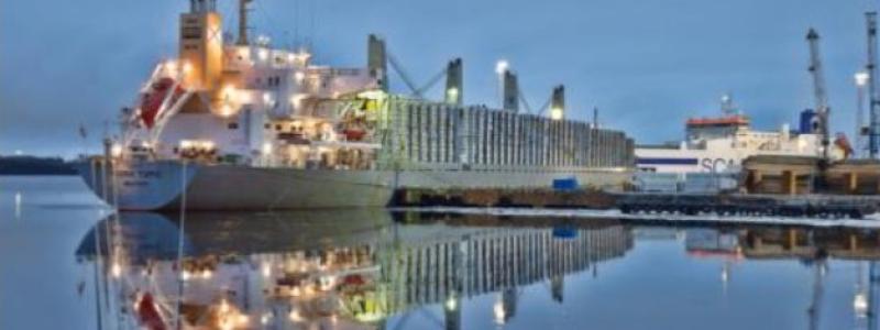 Hamnoperatören uppger att fokus framåt ligger på ökad kapacitet och utveckling av logistiklösningar i Kvarkenregionen. Foto: Stefan Rehn, Kvarken Ports Umeå