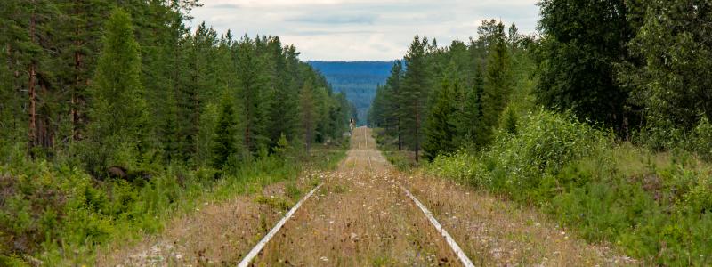 Inlandsbanan Foto: lasse nystedt/unsplash