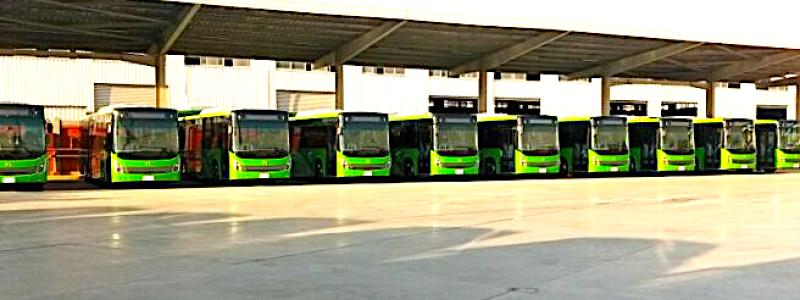 MCV – en ny busstillverkare på den tyska marknaden. Bilden visar MCV-bussar som kördes vid världsklimatmötet i Sharm-el-Sheik i november 2022. Foto: MCV