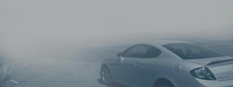 Foto: frantzou fleurine/unsplash