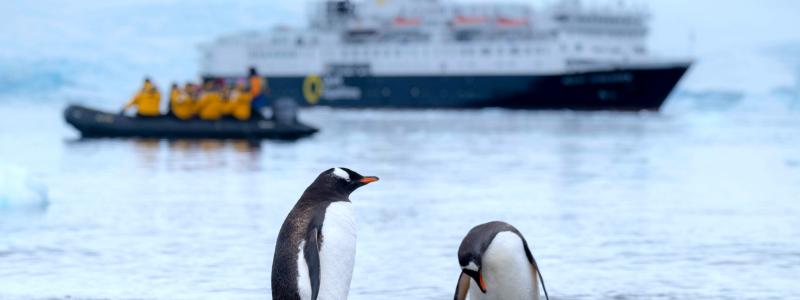 Regeringen tar nästa steg med konkreta åtgärder för att kunna ge svenska polarforskare tillgång till ett modernt klimatneutralt polarforskningsfartyg med förmåga att bedriva verksamhet och forskningsexpeditioner i Högarktis och runt Antarktis. Foto: derek oyen/unsplash