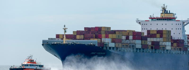 Containerfartyget MSC Yokohama passerar utanför stranden vid Vlissingen i Nederländerna Pim de Boer/Unsplash