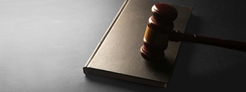 Konkurrensverket bedömer att värdet på upphandlingen av interimsavtalet uppgår till 248 miljoner kronor. Foto: Sasun Bughdaryan/Unsplash