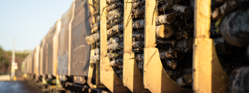 Tågtransport Foto: Victor Lundberg