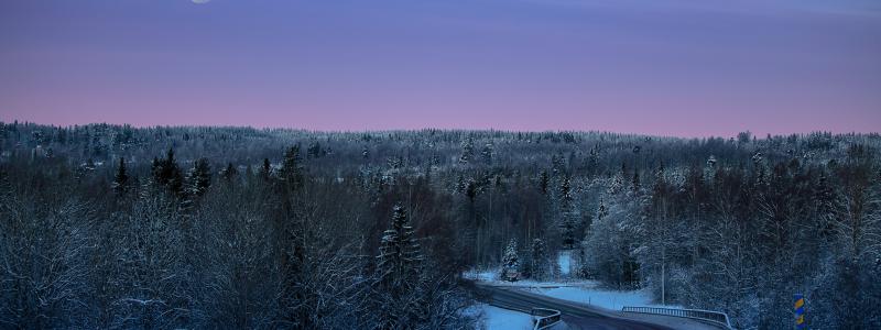 2022 startades projektet ”gles” 2+1-väg mellan Ånge och Bräcke. Foto: otto norin/unsplash