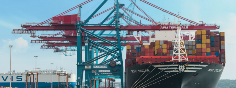 MSC Mediterranean Shipping Company har idag en direktlinje via APM Terminals Gothenburg till Asien. Foto: APM Terminals