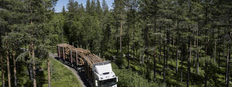 Skogsbrukets vägtransporter, timmerbilarna, ska elektrifieras i ett samarbete mellan Skogforsk, Scania, fem skogsbolag, flera transport- och teknikföretag samt forskningsaktörer. Foto: Scania
