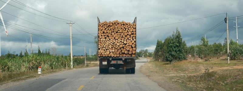 Lastbil transporterar timmer på landsväg. Foto: duc van / unsplash