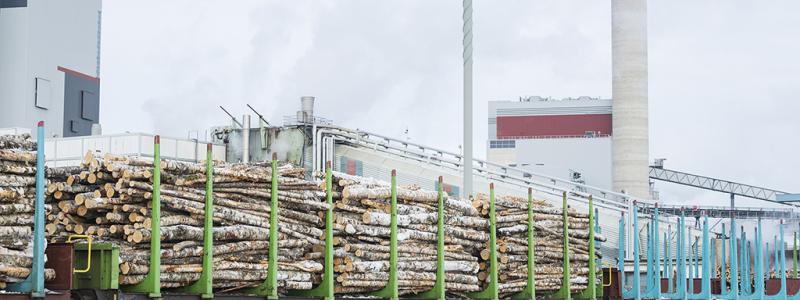 Tåget spelar en central roll i kampen mot klimatförändringar, då det är ett av de mest miljövänliga och energieffektiva transportsätten, stående för bara cirka 1 procent av alla transportrelaterade utsläpp. Foto: VR