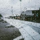 Arlanda. Foto: dzmitry dudov/unsplash