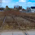 Vegetationsröjningen längs järnvägen mellan Bollnäs och Edsbyn är det första steget i utredningen av möjligheten att återuppta trafik på sträckan. Foto: Trafikverket