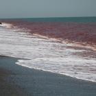 Hormuz, Hormozganprovinsen, Iran Foto: Abolhassan NeghabiUnsplash