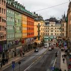 Kungsgatan i centrala Stockholm. Foto: Jimmy Woo/Unsplash