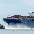 Containerfartyget MSC Yokohama passerar utanför stranden vid Vlissingen i Nederländerna Pim de Boer/Unsplash