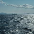 Genrebild på öppet hav med fartyg i fjärran. Foto: Giandomenico Pozzi/Unsplash