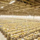 Sellpys lager i Rosersberg. Pressbild: Sellpy