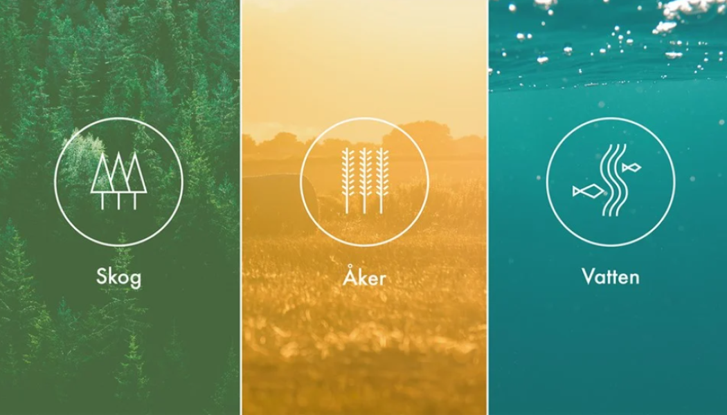 Airbus Handout/AP/TT
Airbus siktar på att öka flygplansleveranserna under 2017. Arkivbild.