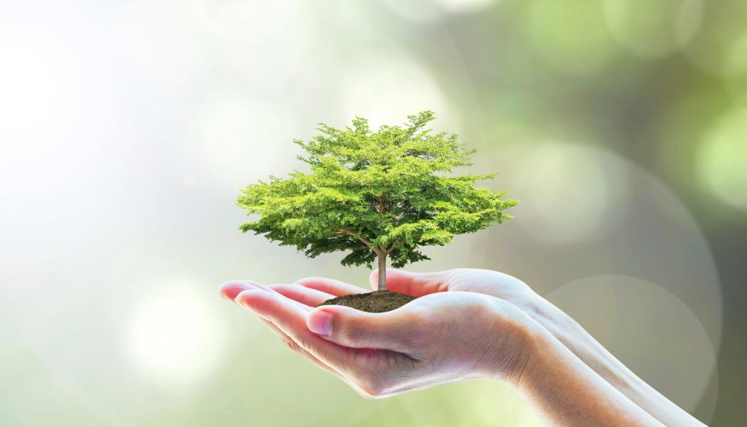 Foto: Shutterstock