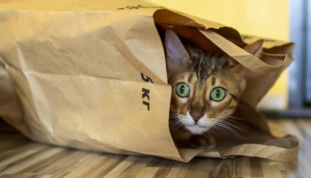  Otillbörlig sändning. Foto: Creative Commons Lic. Kredit: Irina_kukuts