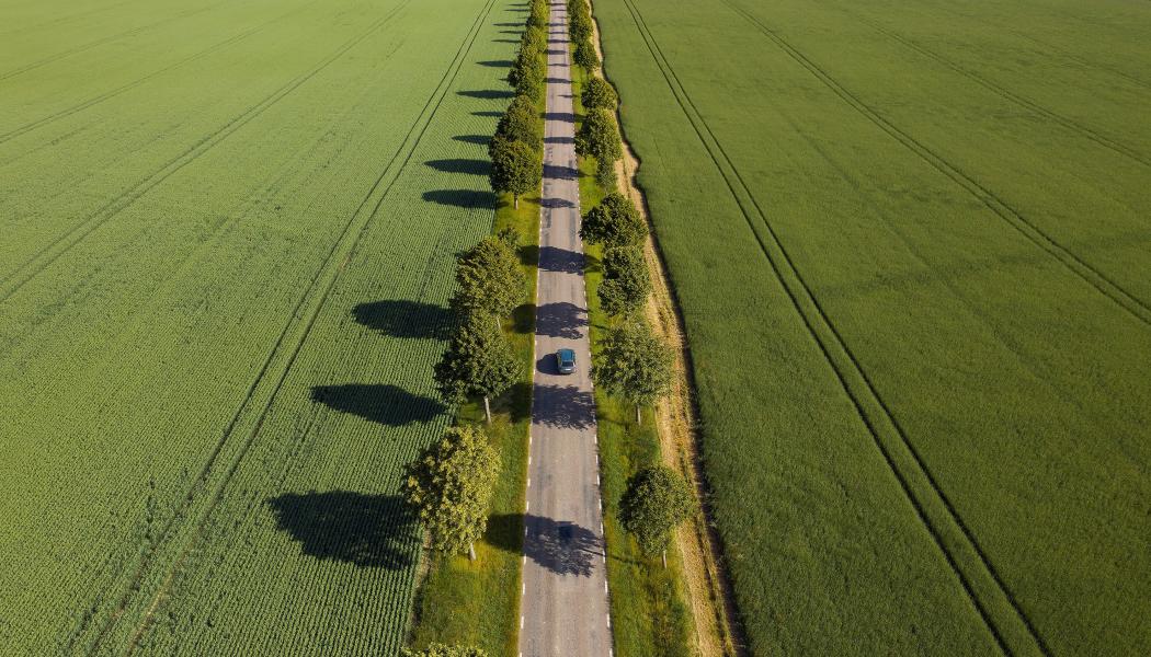 Elfordon vanligast i kommunala flottor