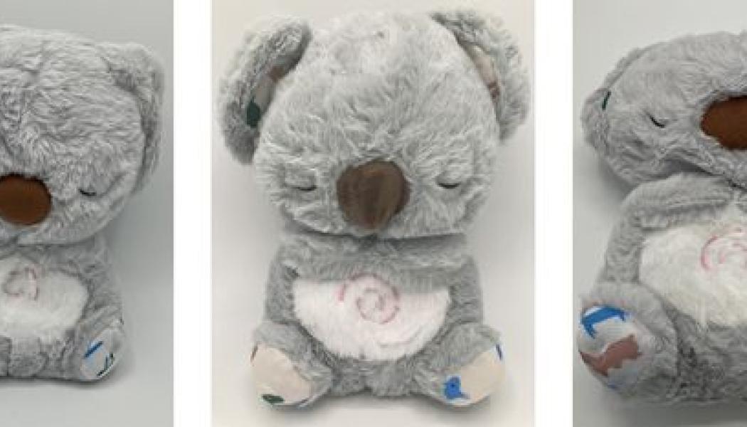 Kemikalieinspektionen har använt bildigenkänning för att jämföra bilder i online-erbjudanden med bilder på varor som tidigare identifierats som bristfälliga. Fotograf: Frida Ramström