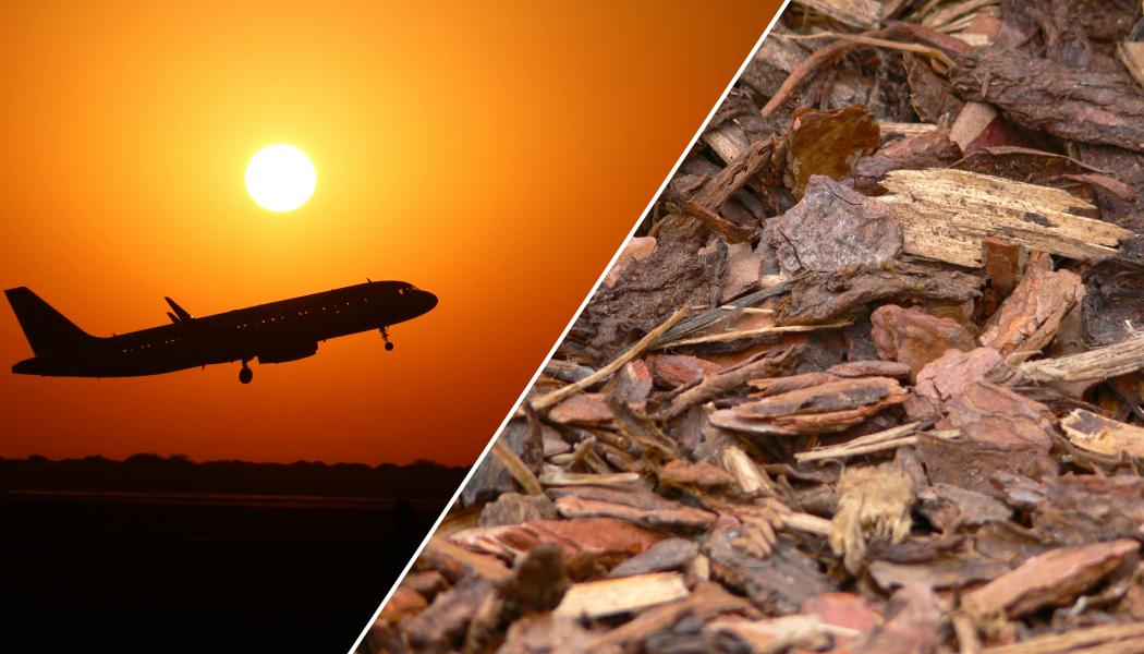 Forskarna jämförde tre metoder för att producera syntetisk metanol från biomassa: två förbränningsbaserade och en som bygger på förgasning. Fotograf: CC BY Gustavo Ramirez/CC0