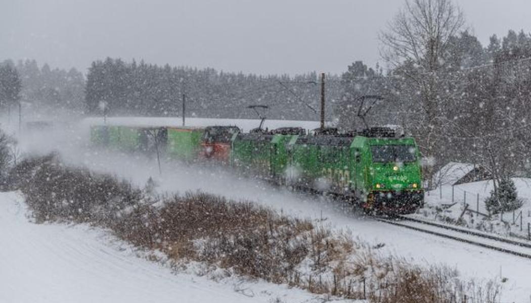 Tågen går oftare i tid och trafiken fungerar mer stabilt efter att bolaget har lagt om hur transporterna planeras och körs, med fasta huvudstråk i stället för mer spridd trafik. Foto: Green Cargo