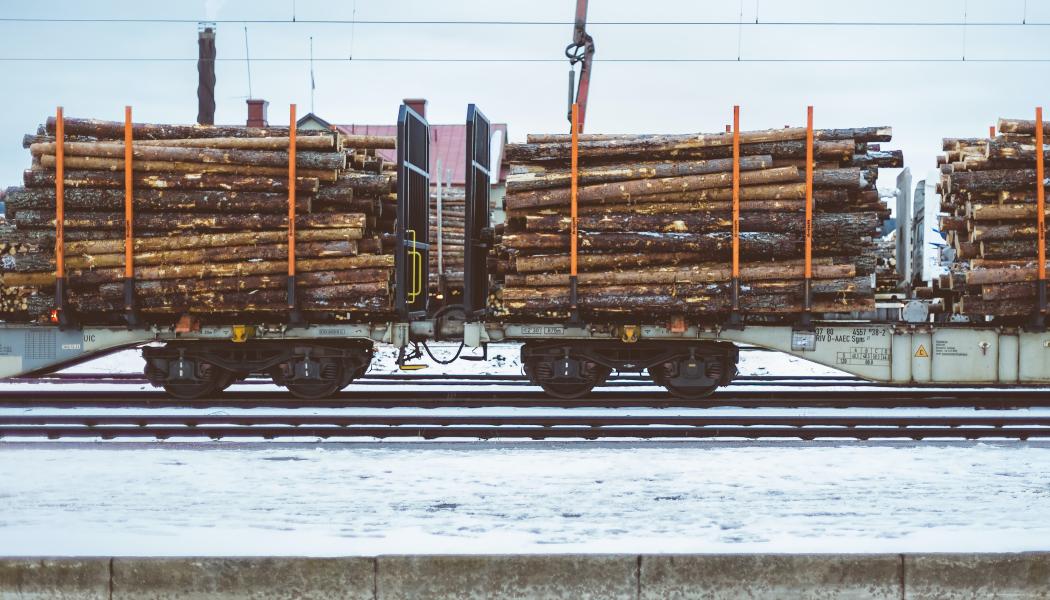 Tågen kommer att trafikera nio terminaler och transportera rundvirke till ett tiotal industrikunder runt om i landet. Foto: robert larsson/unsplash