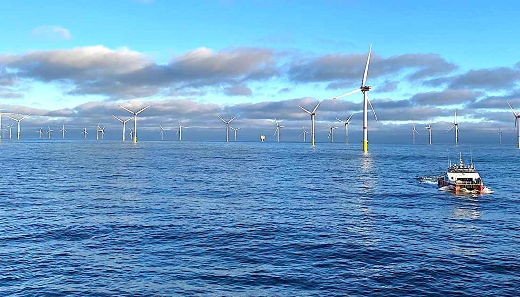 Kaskasi är RWE:s sjätte vindkraftpark utanför Tysklands kust. Foto: RWE
