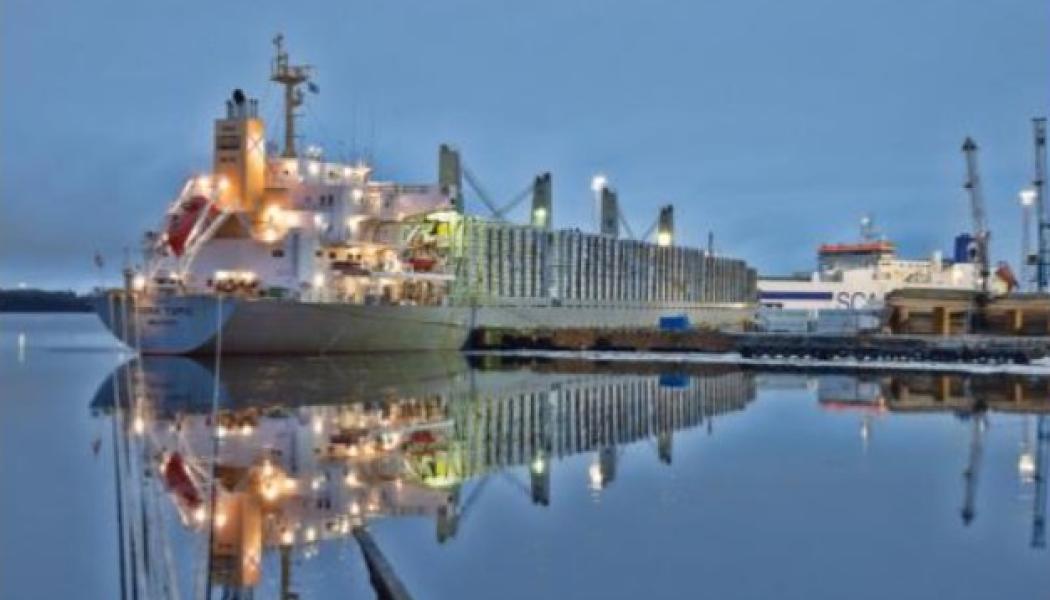 Hamnoperatören uppger att fokus framåt ligger på ökad kapacitet och utveckling av logistiklösningar i Kvarkenregionen. Foto: Stefan Rehn, Kvarken Ports Umeå