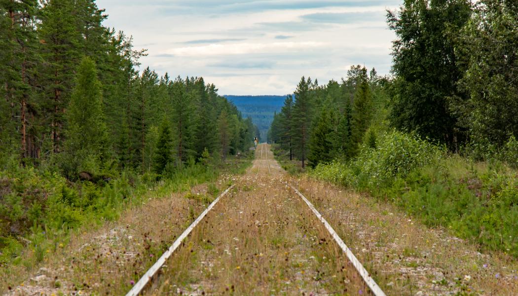 Inlandsbanan Foto: lasse nystedt/unsplash 